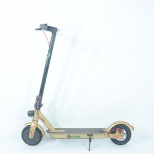 גו ווילס זהב